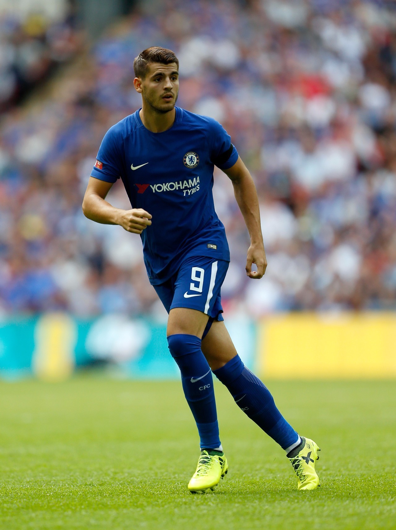 们提供了一 们提供了一